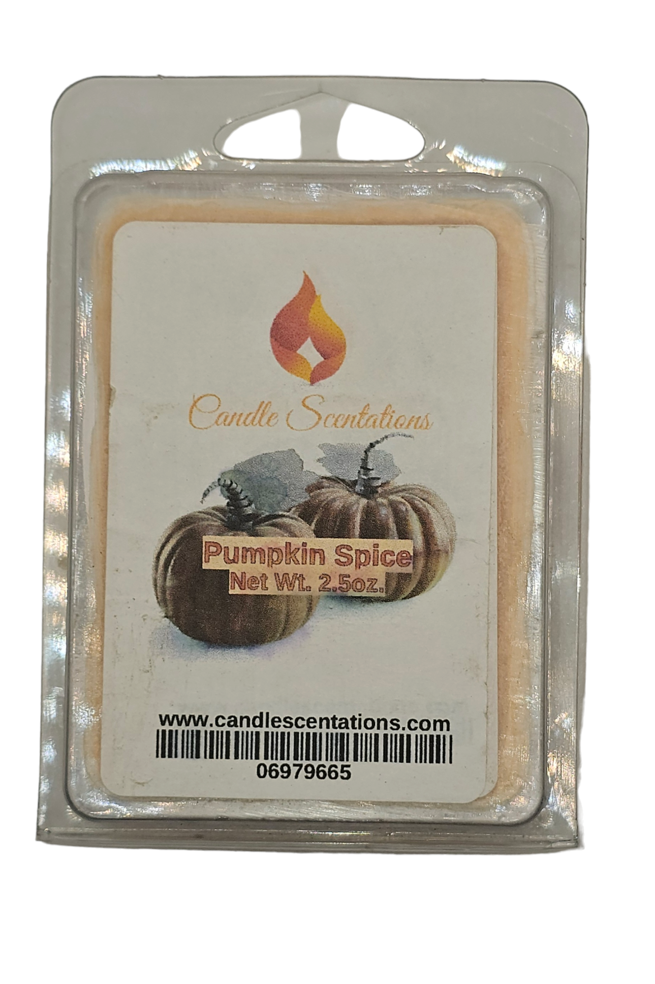 Pumpkin Spice 2.5 oz. Wax Melt - Candle Scentations