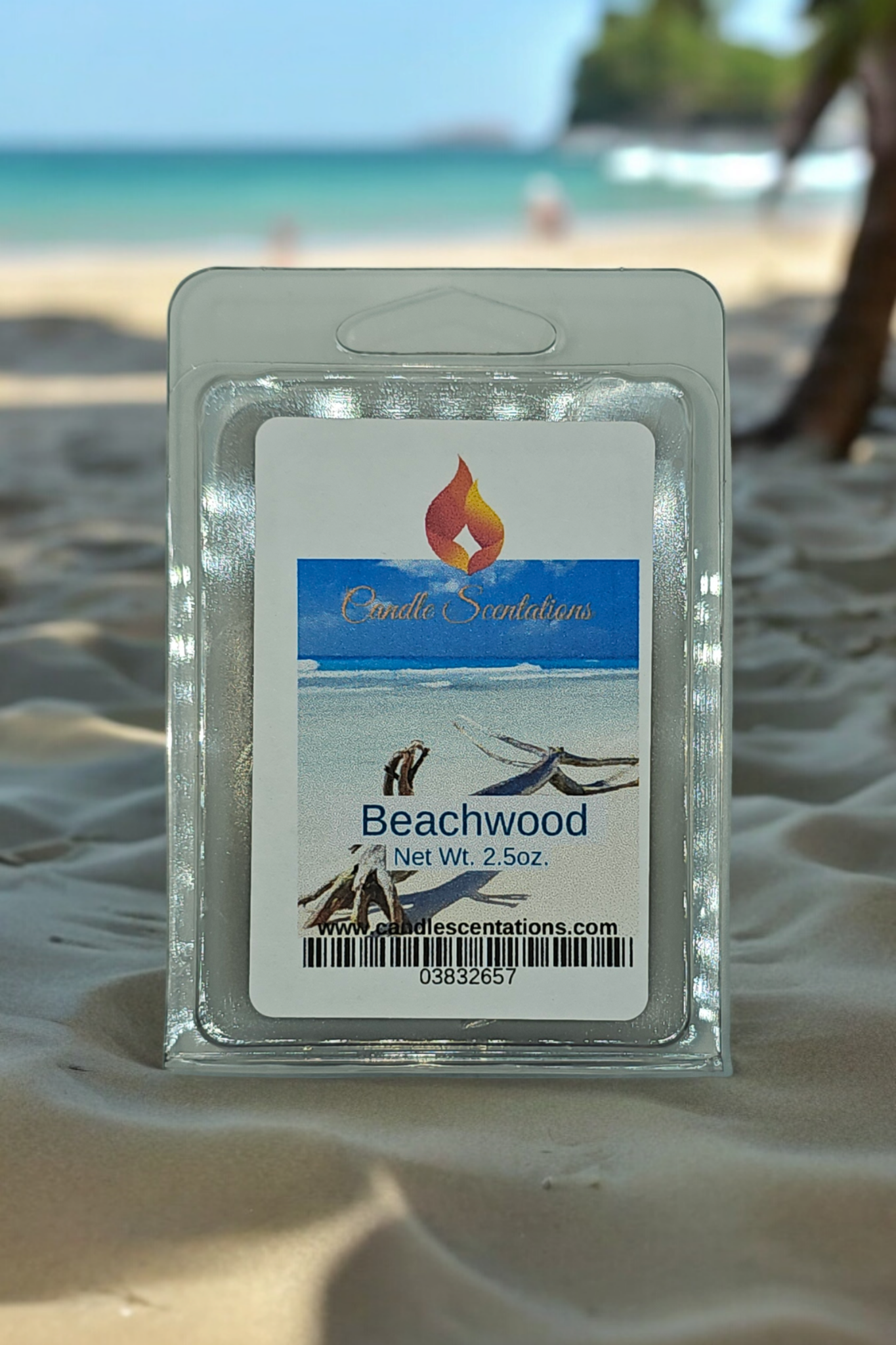 Beach Wood 2.5 oz. Wax Melt