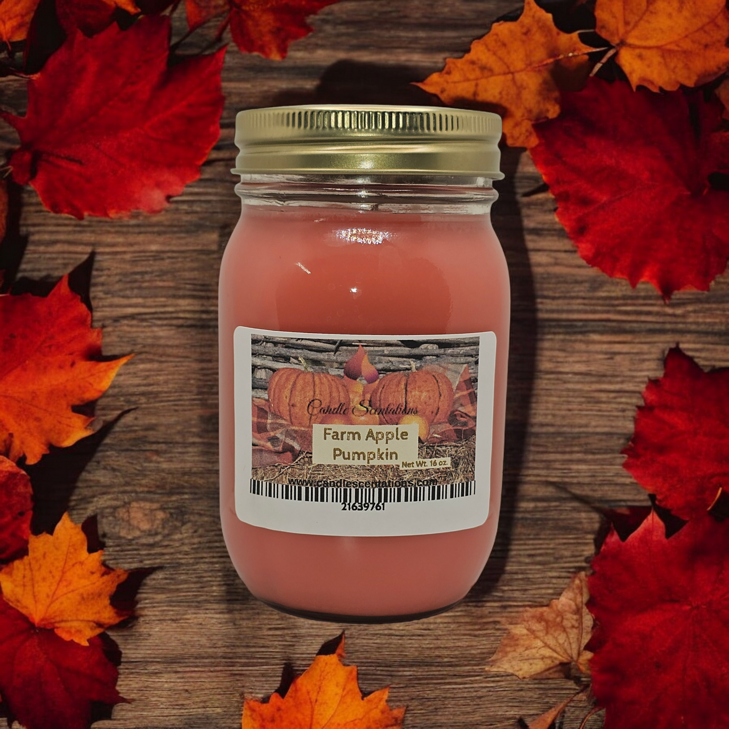 Farm Apple Pumpkin 16 oz. Candle