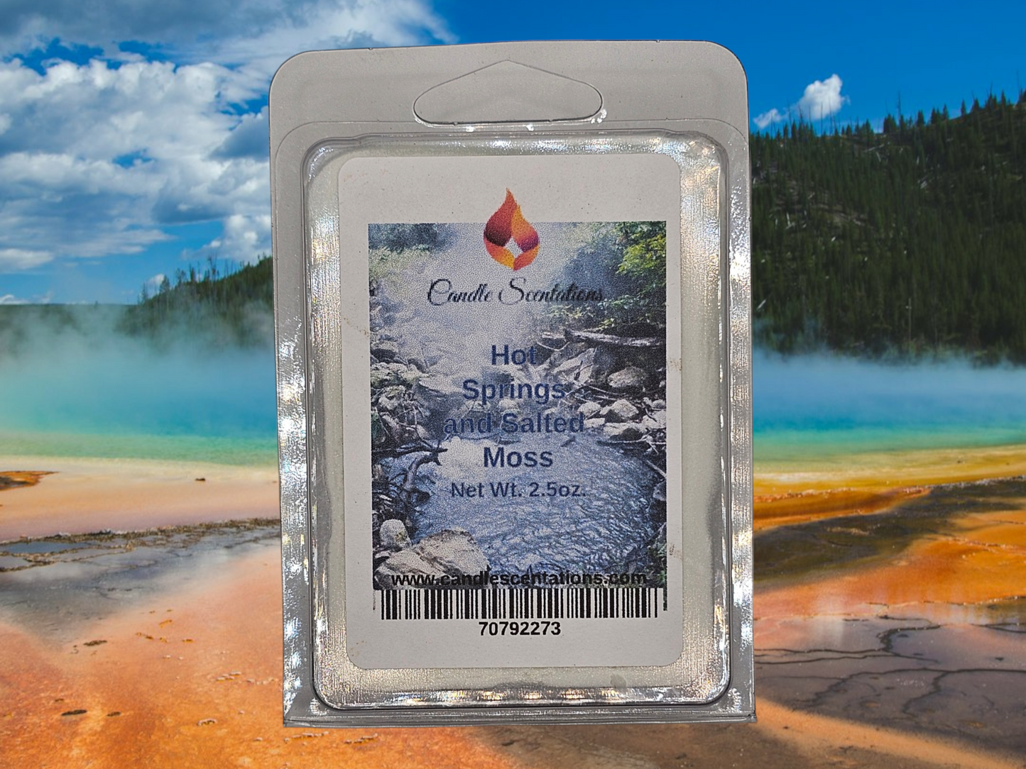 Hot Springs & Salted Moss(type) 2.5oz.Wax Melt