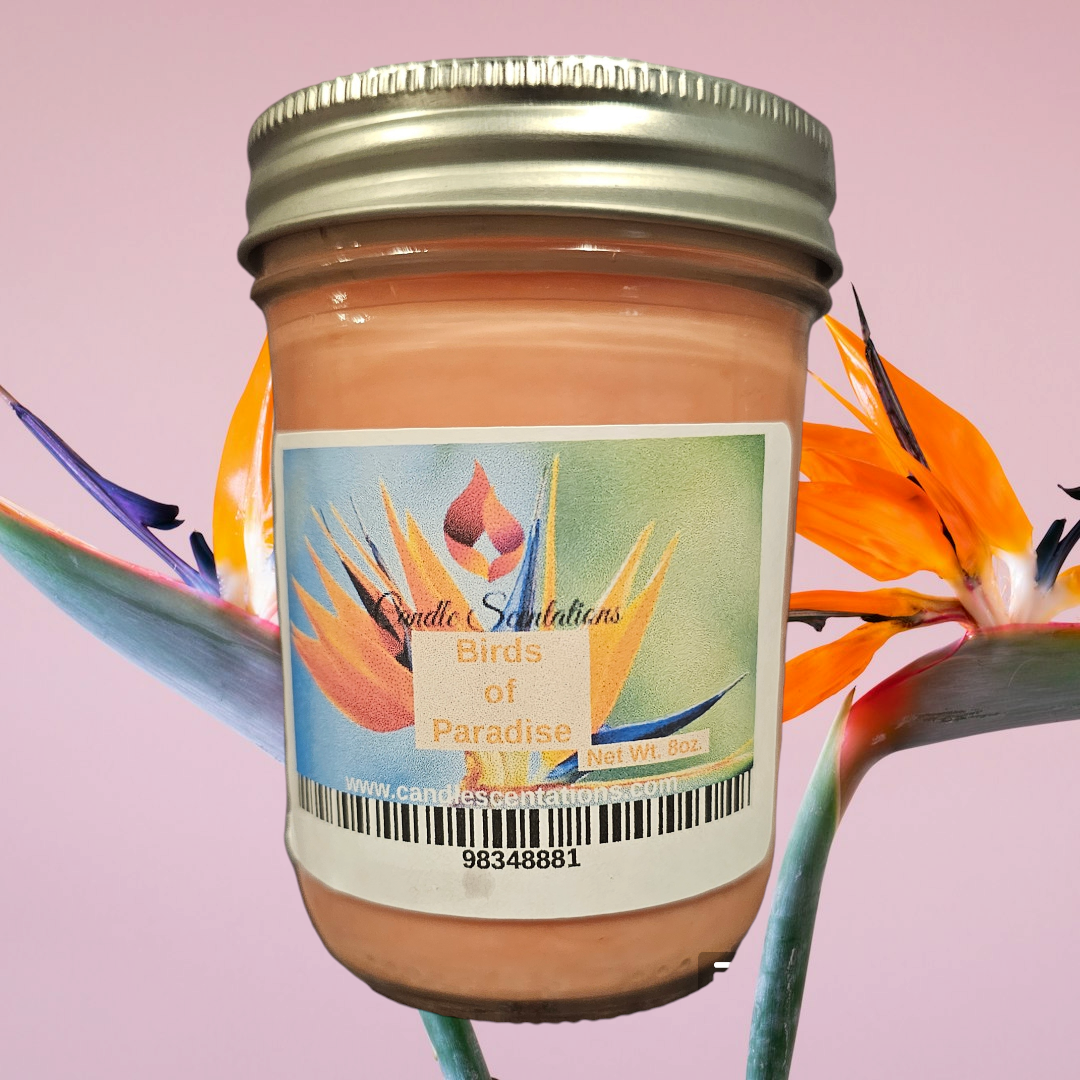 Birds of Paradise 8oz. Candle