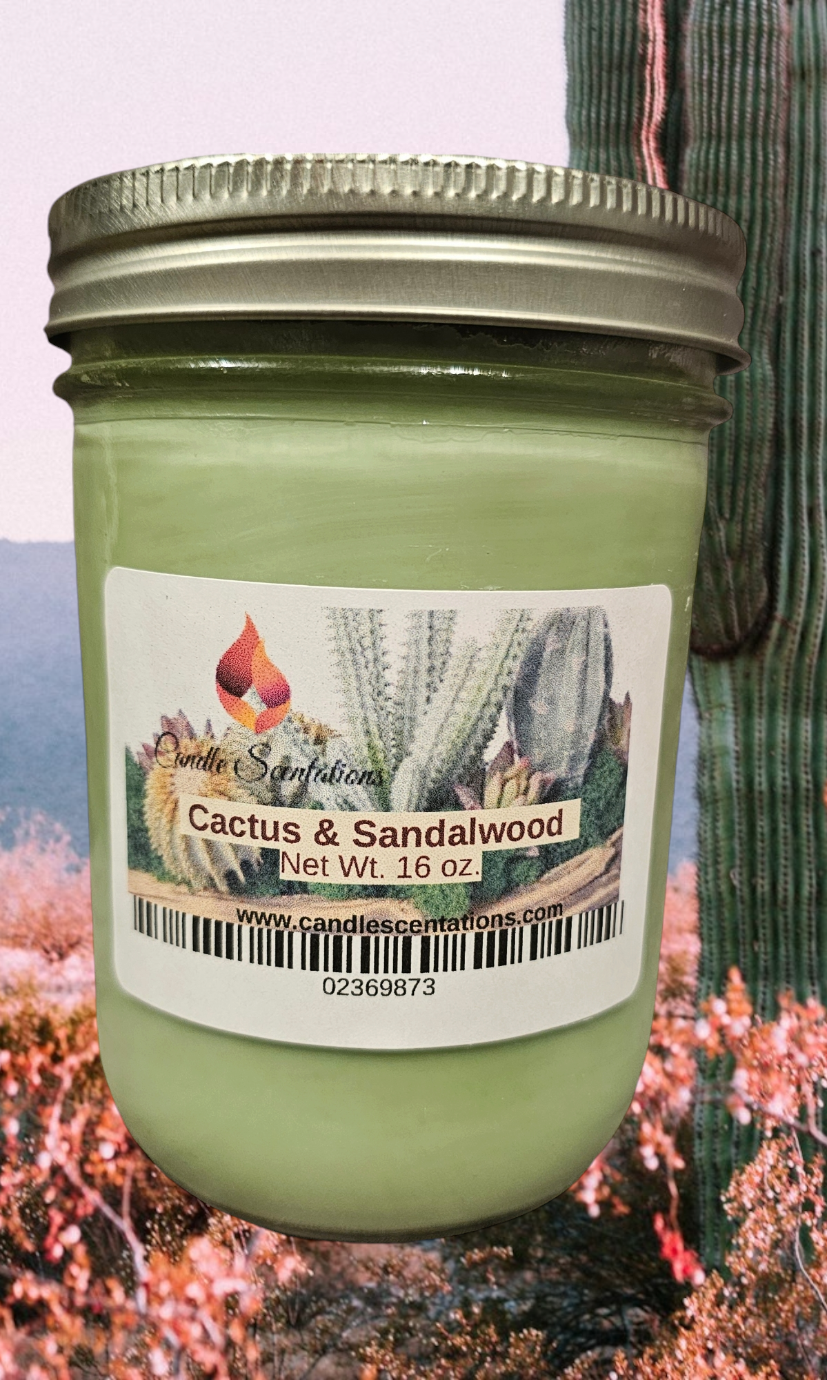 Cactus & Sandalwood 16oz. Candle