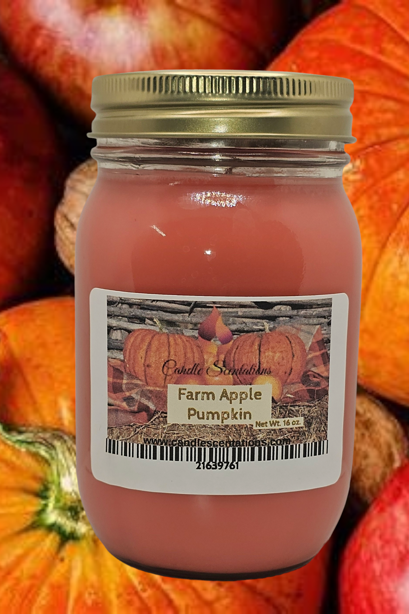 Farm Apple Pumpkin 16 oz. Candle