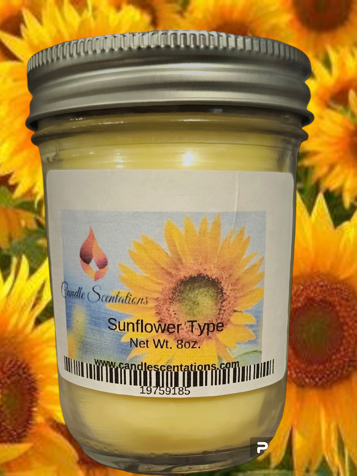 Sunflower type 8oz. Candle