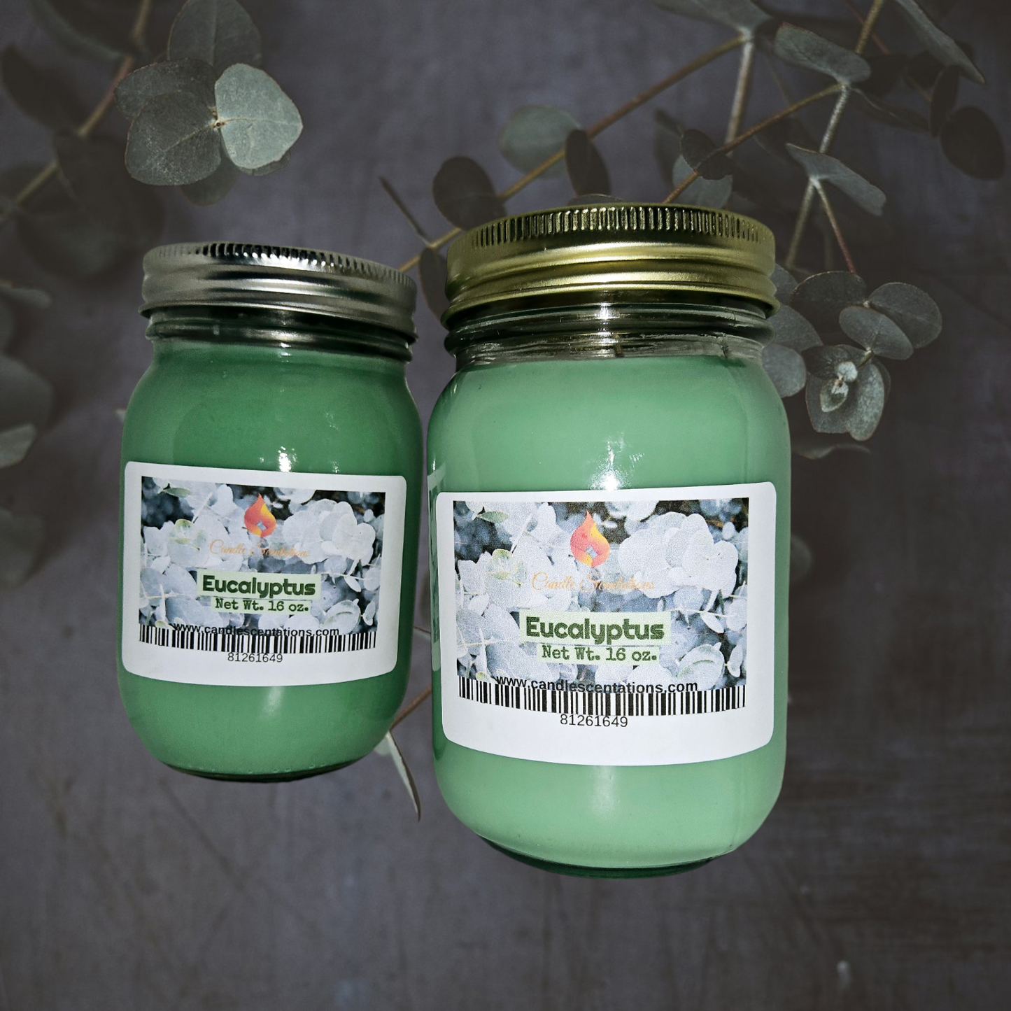 Eucalyptus 16 oz. Candle