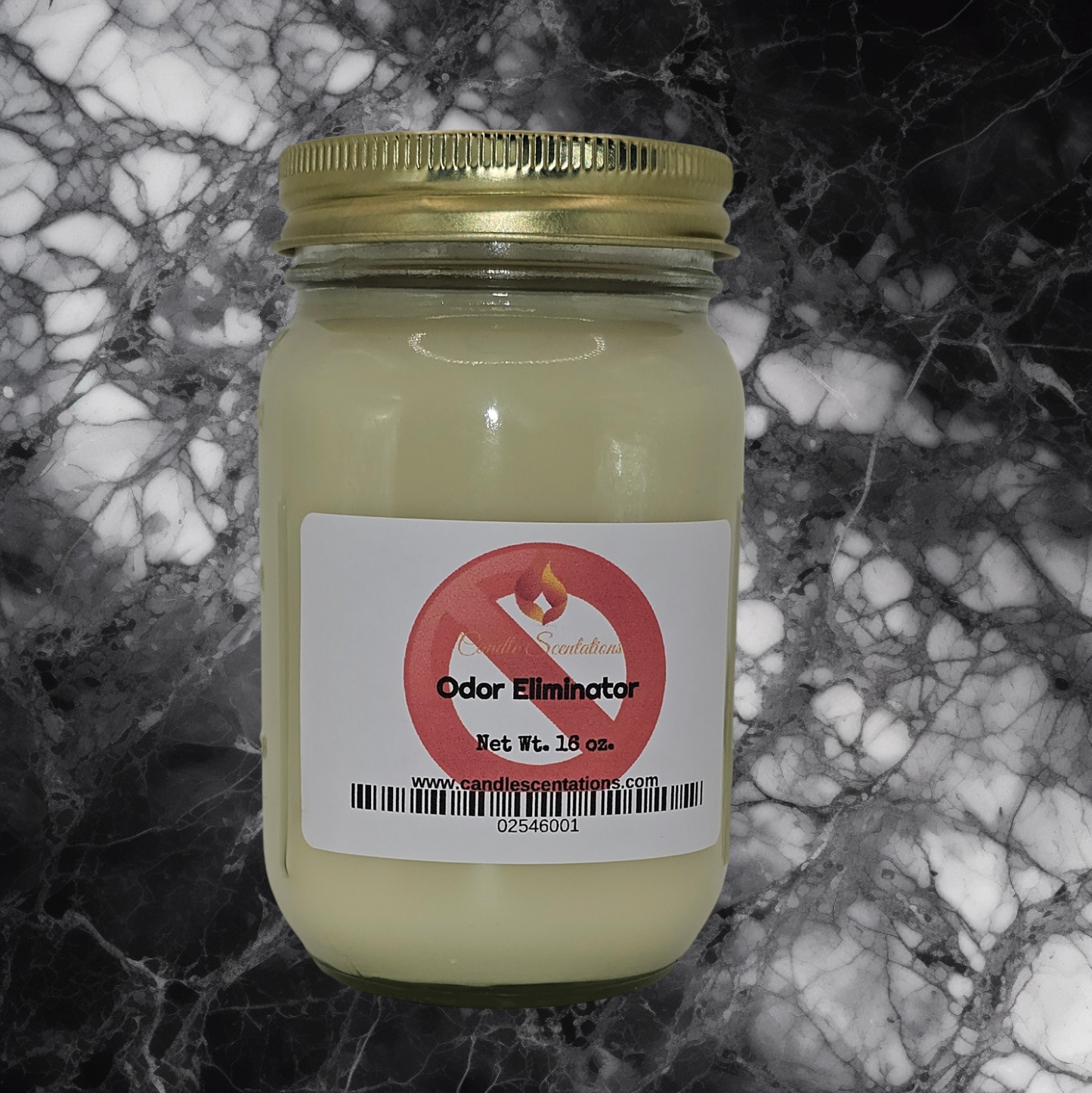 Odor Eliminator 16 oz. Candle
