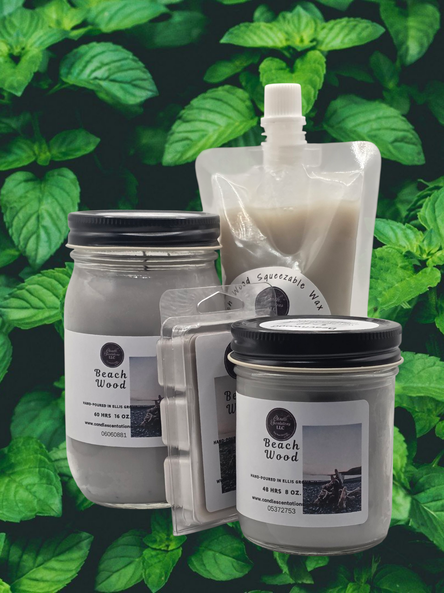 Beach Wood 8 oz. Squeezable Wax Melt