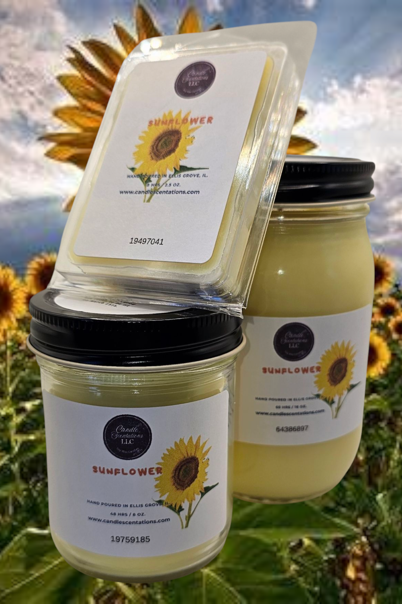 Sunflower 16 oz. Candle