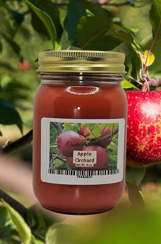Apple Orchard 16 Oz. Candle