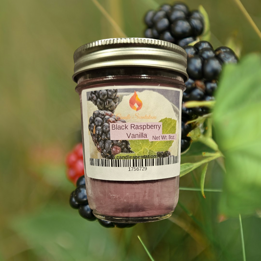 Black Raspberry Vanilla 8oz. Candle