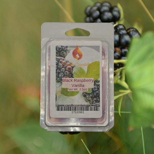Black Raspberry Vanilla 2.5oz. Wax Melt