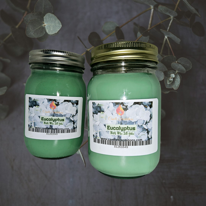 Eucalyptus 16 oz. Candle
